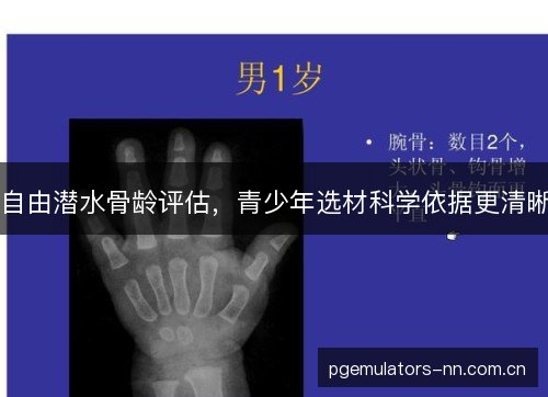 自由潜水骨龄评估，青少年选材科学依据更清晰